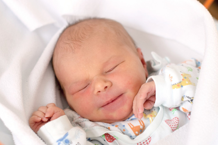 Petrakovičová Tereza