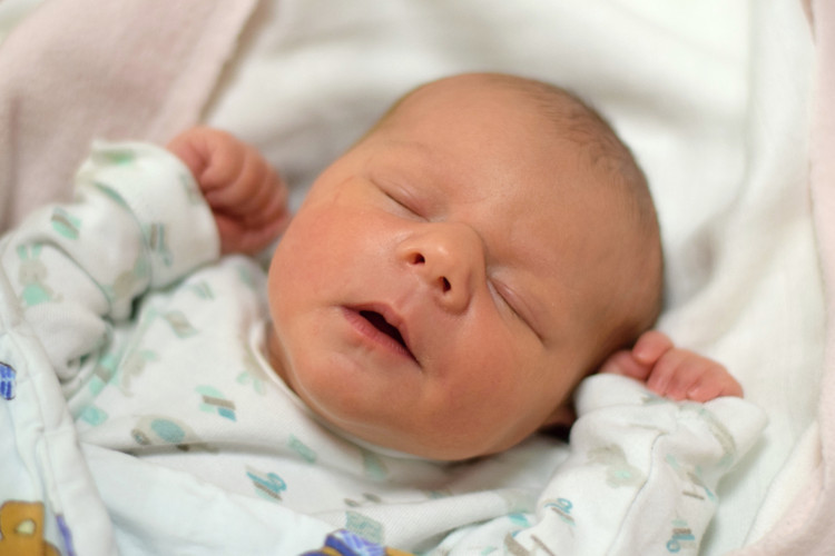 Nadberežná Anežka