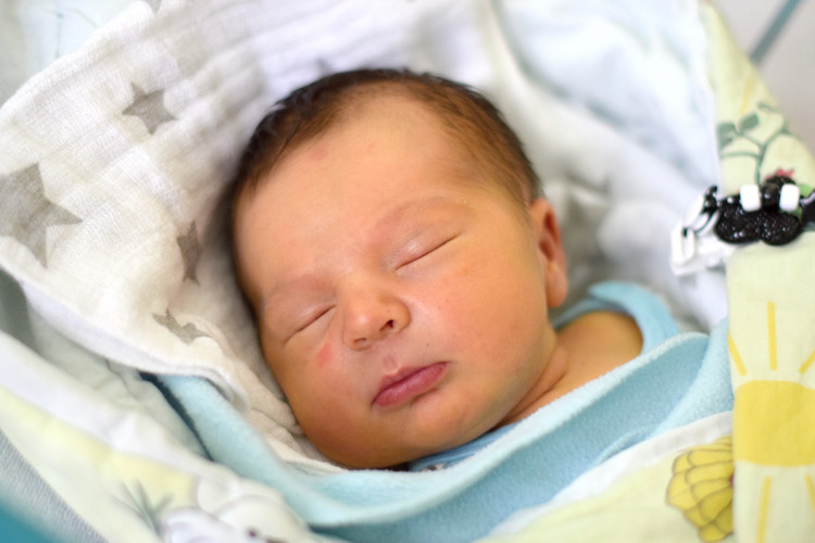 Járka Thomas Daniel