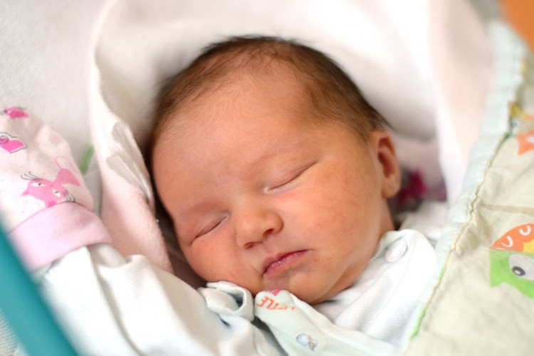 Schamsová Magdaléna