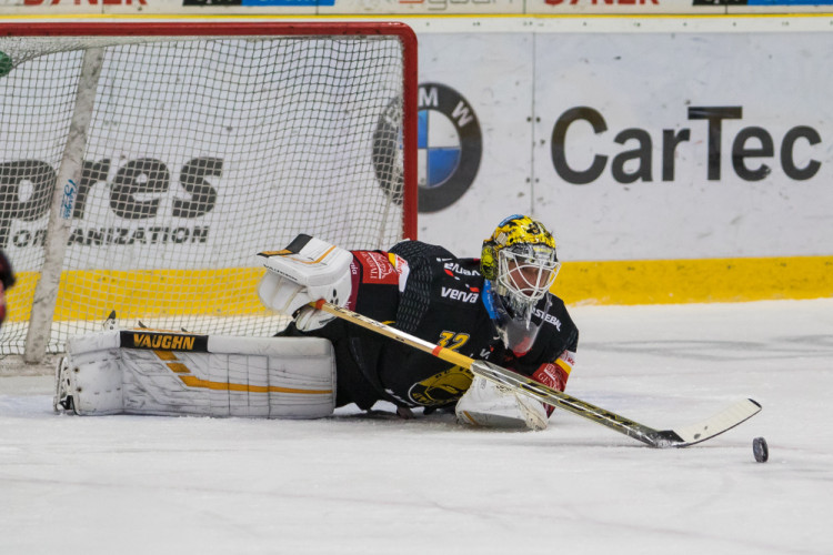 Tygři v napínavém zápase vyhráli nad Litvínovem 5:4