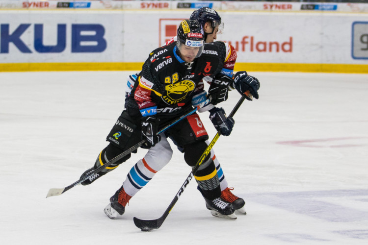 Tygři v napínavém zápase vyhráli nad Litvínovem 5:4