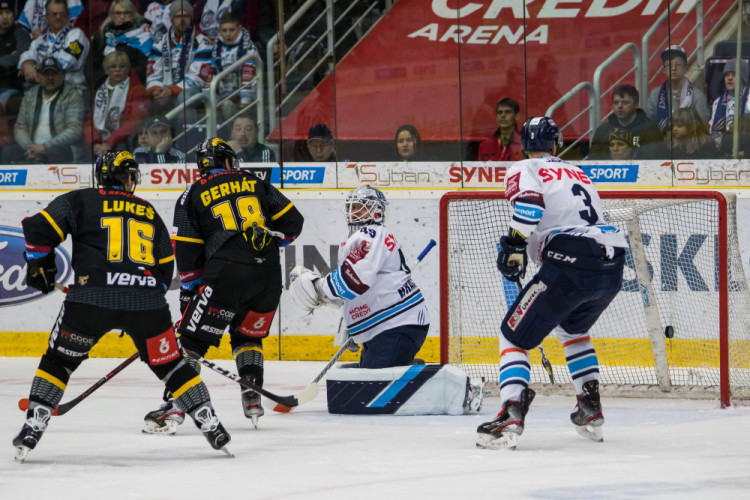 Tygři v napínavém zápase vyhráli nad Litvínovem 5:4