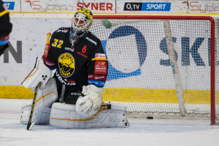 Tygři v napínavém zápase vyhráli nad Litvínovem 5:4