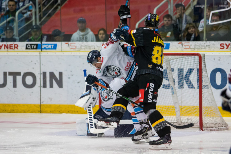 Tygři v napínavém zápase vyhráli nad Litvínovem 5:4