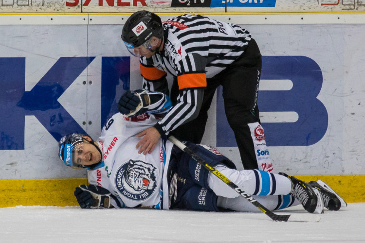 Tygři vyhráli nad Plzní a získali Prezidentský pohár