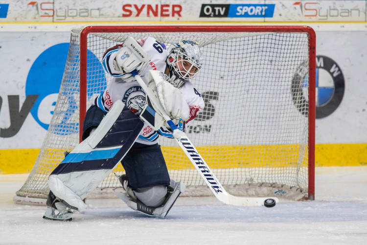 Tygři vyhráli nad Plzní a získali Prezidentský pohár