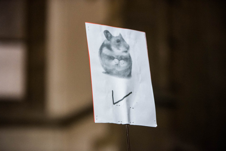 Pochod Postavme se rozvratu institucí, autor Tomáš Hrivňák