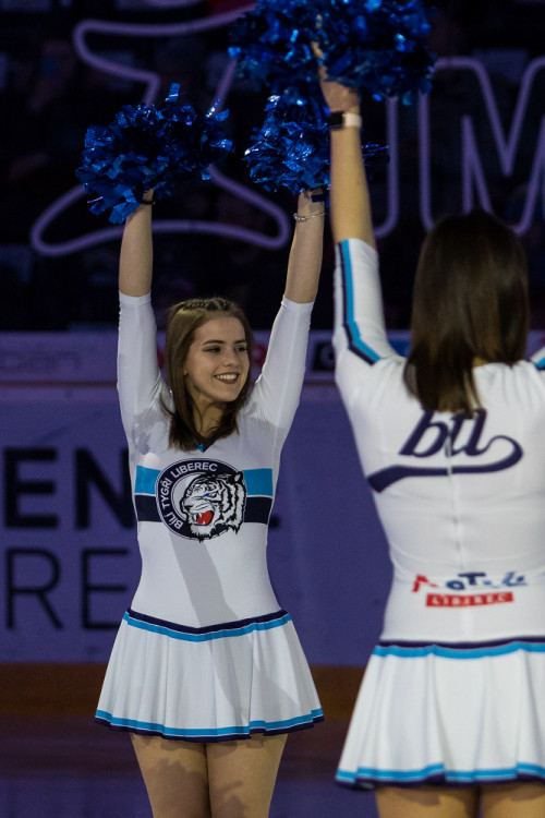 Třinec dnes nad Tygry zvítězil 4:0