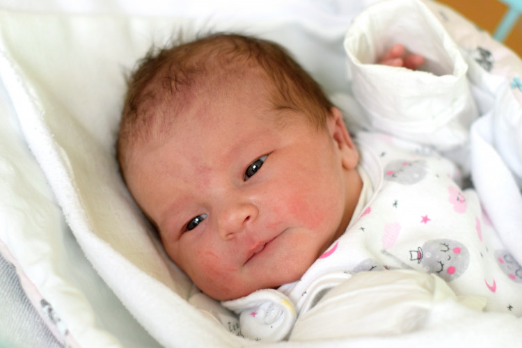 Charvátová Daniela