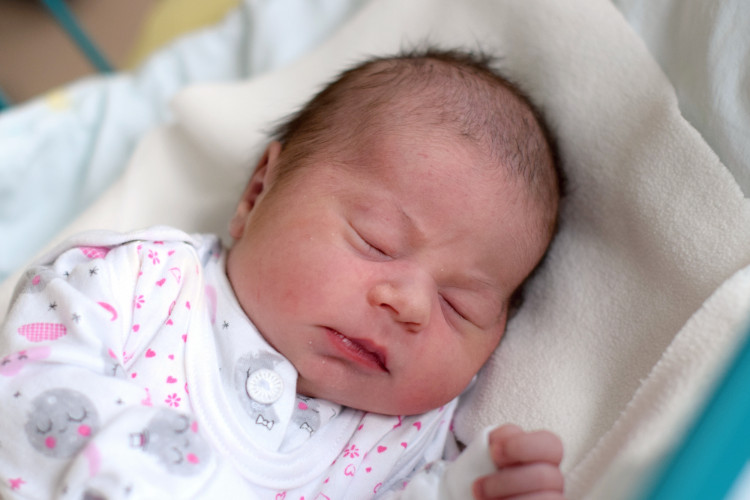 Křenková Kateřina