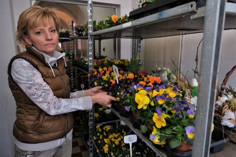 FOTOGALERIE: Uzavřené květinářství v Blovicích