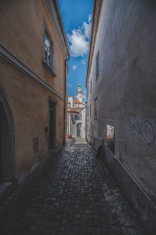Místo turistů se ulicemi Krumlova prochází kachny. Jak vypadá turistická metropole bez lidí?