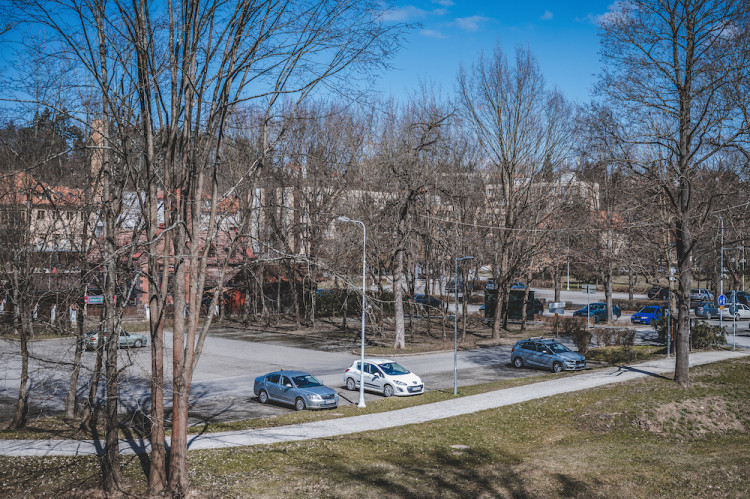 Místo turistů se ulicemi Krumlova prochází kachny. Jak vypadá turistická metropole bez lidí?