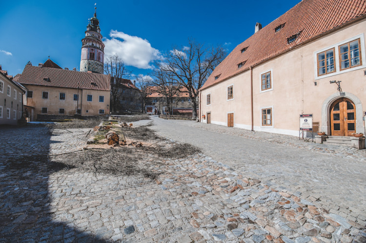 Místo turistů se ulicemi Krumlova prochází kachny. Jak vypadá turistická metropole bez lidí?