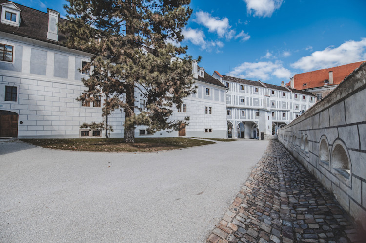 Místo turistů se ulicemi Krumlova prochází kachny. Jak vypadá turistická metropole bez lidí?