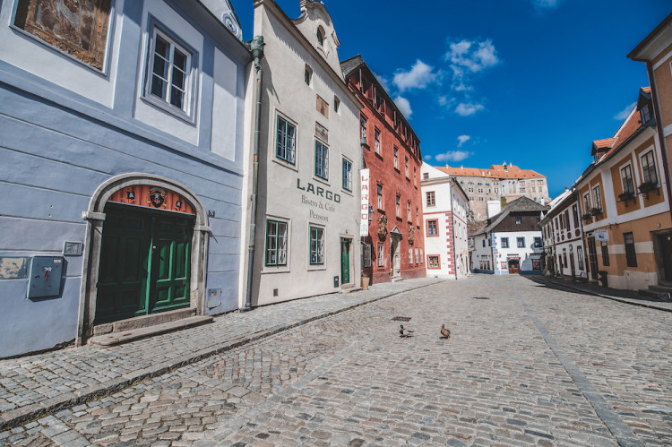 Místo turistů se ulicemi Krumlova prochází kachny. Jak vypadá turistická metropole bez lidí?