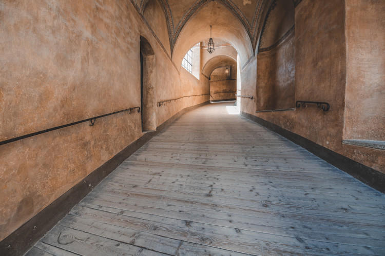 Místo turistů se ulicemi Krumlova prochází kachny. Jak vypadá turistická metropole bez lidí?