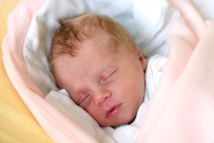 CHRDLOVÁ Kateřina