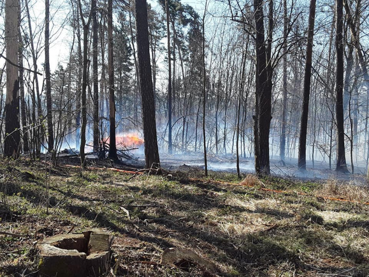 Požáry na Vysočině 6.4.2020