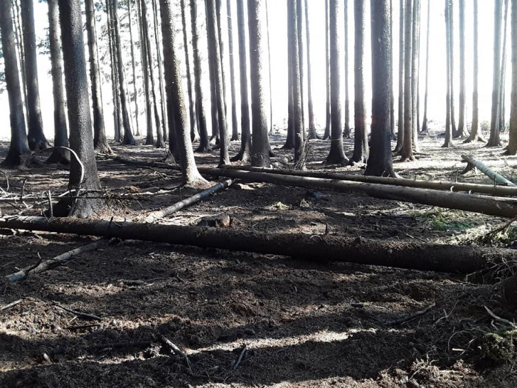 Požáry na Vysočině 6.4.2020