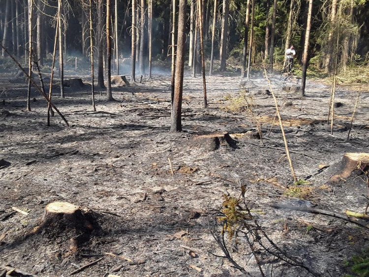 Požáry na Vysočině 6.4.2020