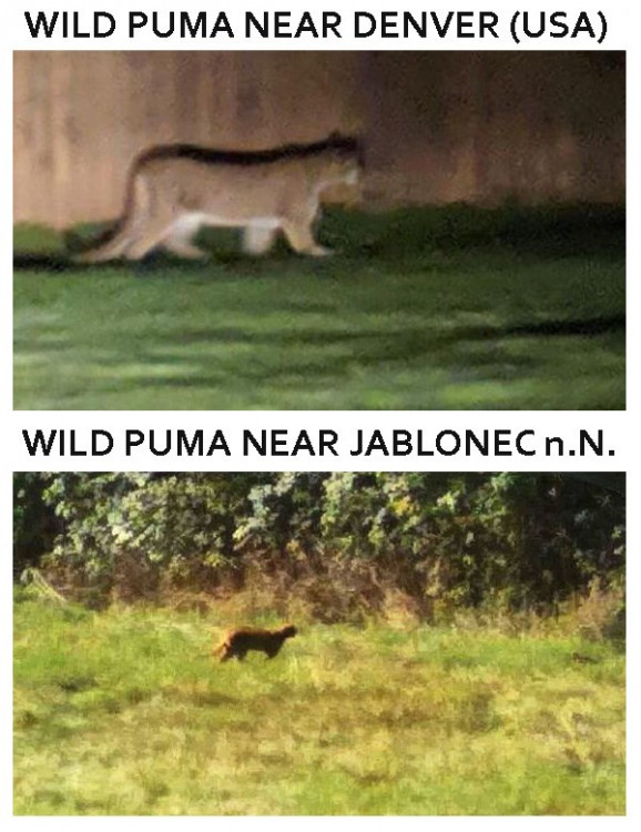 Kam na dovolenou 2020