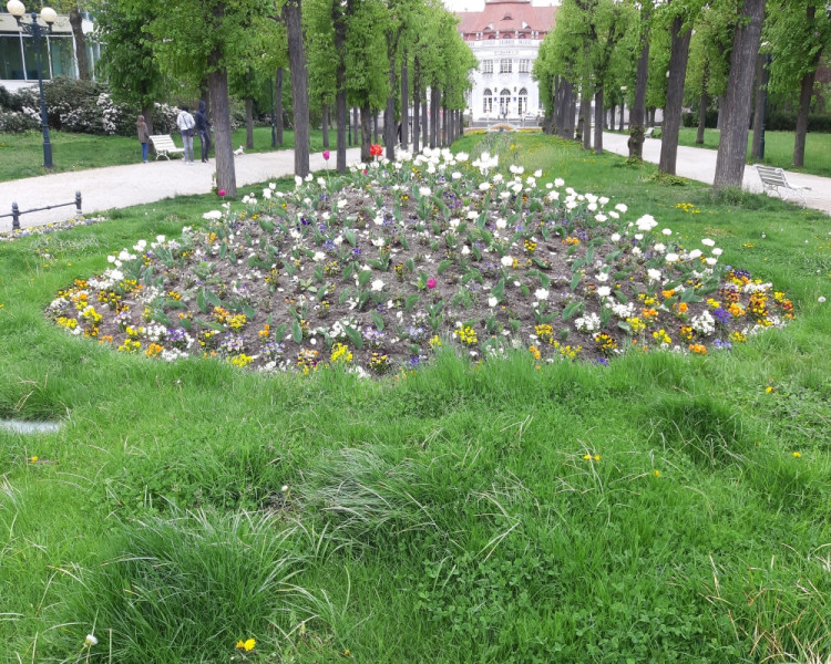 Na Karla IV. byste dnes v Karlových Varech čekali marně