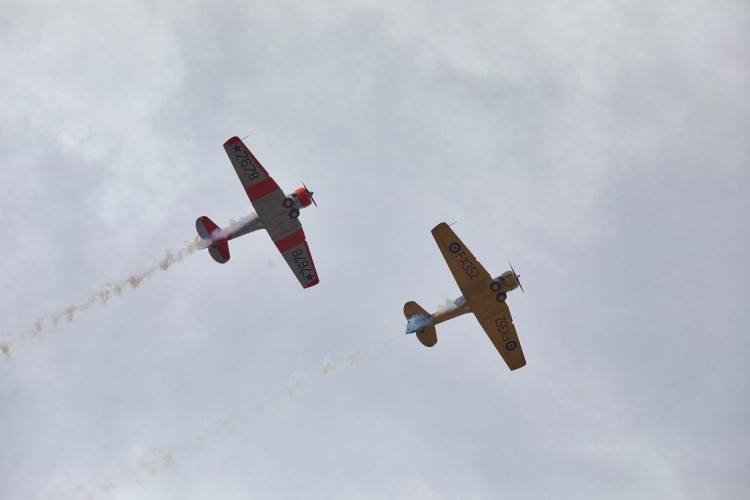 FOTOGALERIE: Virtuální Slavnosti svobody 2020