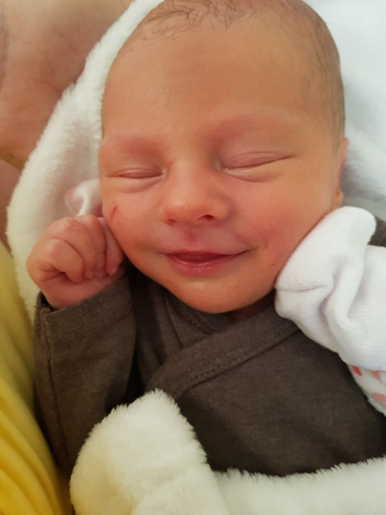 Štěpánka Fibikarová