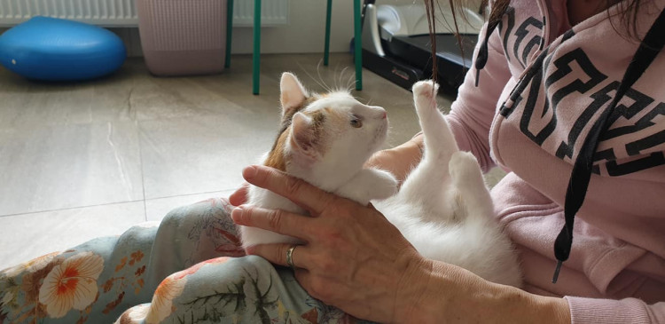 FOTOGALERIE: Libuška Pelikánová