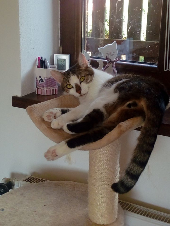 FOTOGALERIE: Libuška Pelikánová