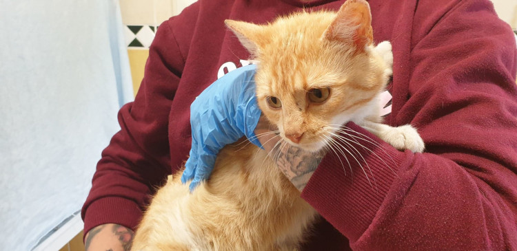 FOTOGALERIE: Libuška Pelikánová