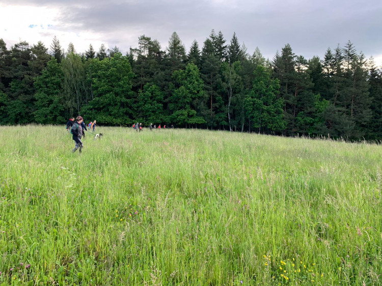 Každoročně zemřou na loukách stovky tisíc mláďat