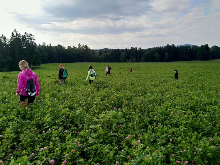 Každoročně zemřou na loukách stovky tisíc mláďat