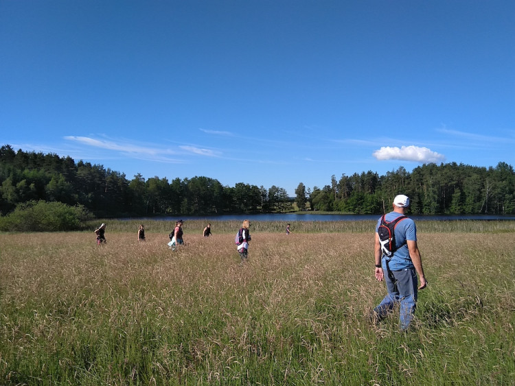 Každoročně zemřou na loukách stovky tisíc mláďat