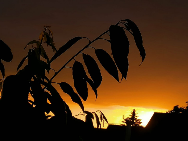 Autor: Ivana Fílová