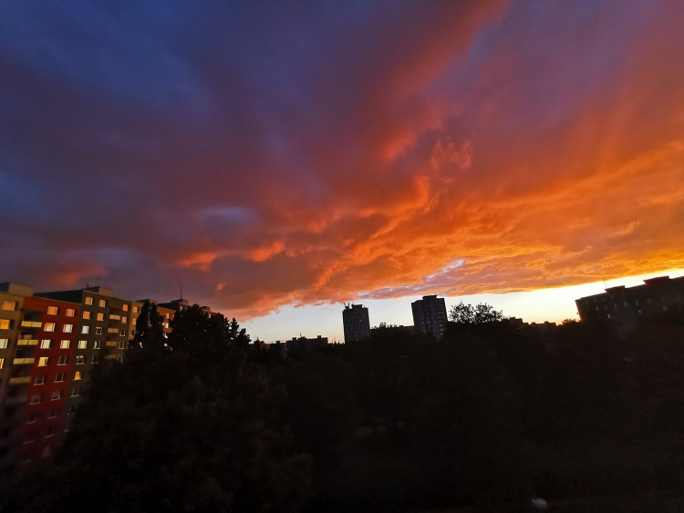 Autor: Alísek Jonášová