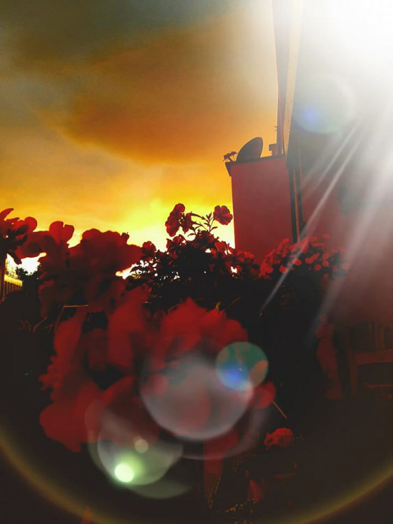 Autor: Pražanda Blond