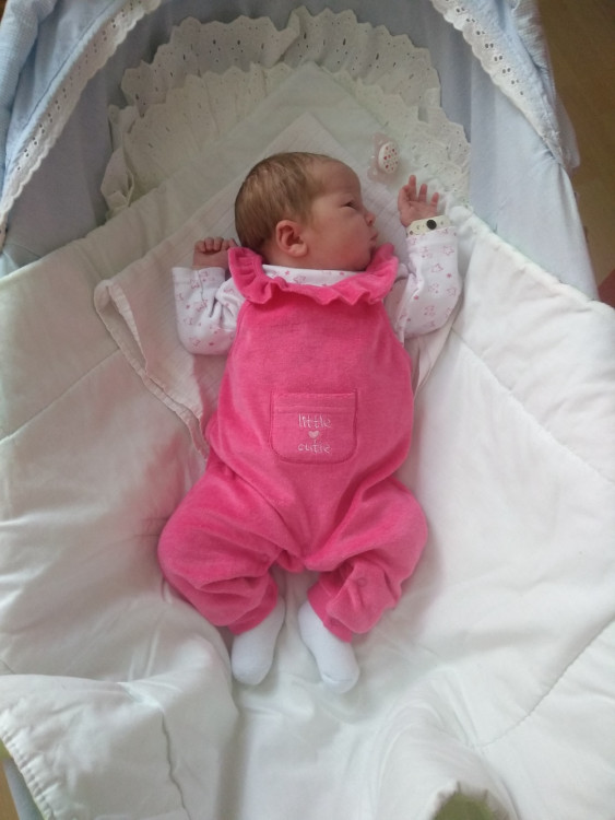 DVOŘÁKOVÁ, Růžena