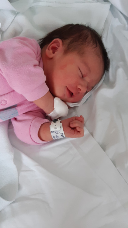 PODSKLANOVÁ Amálie