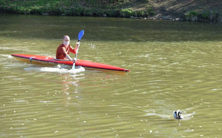 FOTOGALERIE: Odchyt kačera s hlavou prostřelenou šípem z kuše