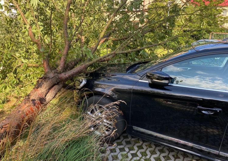 FOTO : Hasiče zaměstnal silný vítr, vyjížděli k desítkám případů