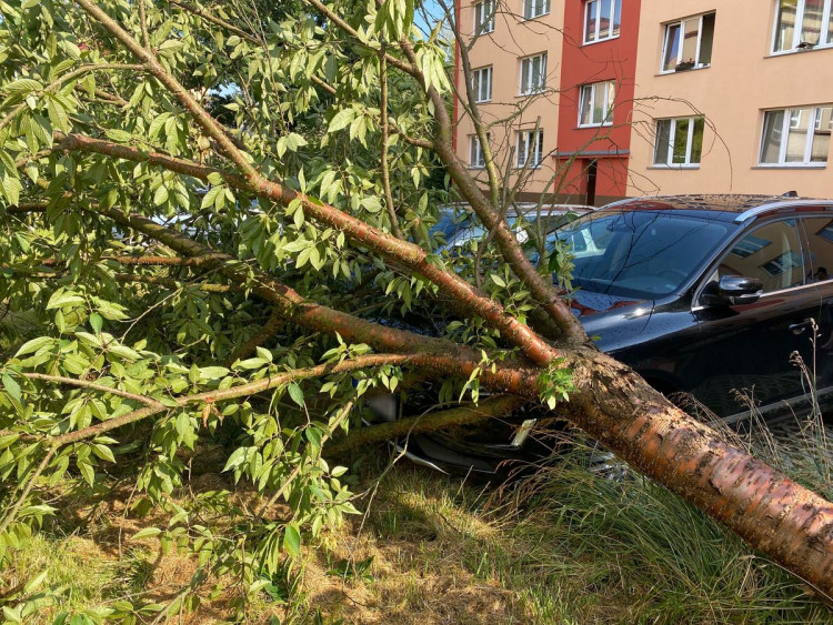 FOTO : Hasiče zaměstnal silný vítr, vyjížděli k desítkám případů