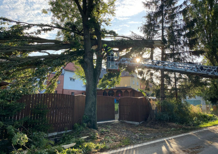 FOTO : Hasiče zaměstnal silný vítr, vyjížděli k desítkám případů