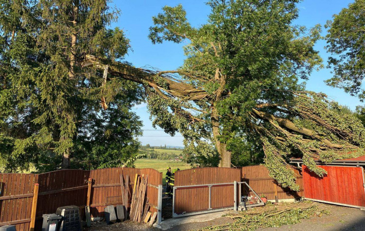 FOTO : Hasiče zaměstnal silný vítr, vyjížděli k desítkám případů