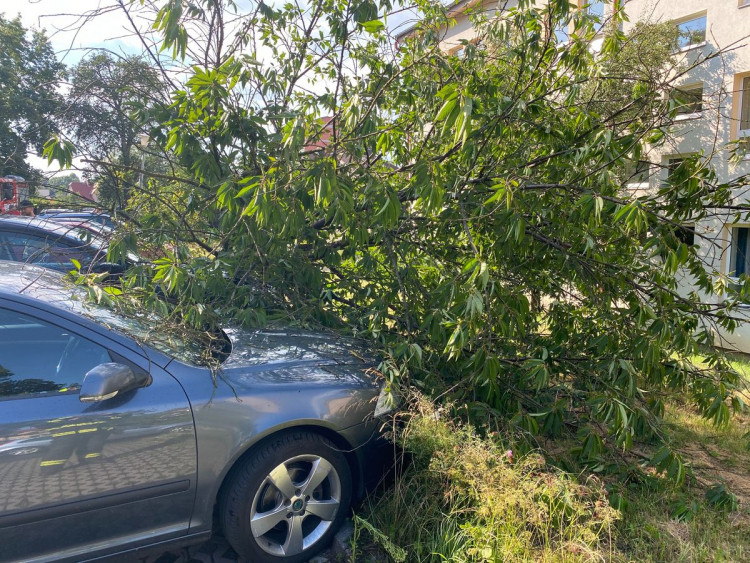 FOTO : Hasiče zaměstnal silný vítr, vyjížděli k desítkám případů