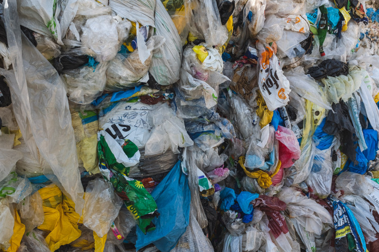 Tam, kde končí odpadky. Reportáž z vyškovské třídírny Respono, autor: Tomáš Valnoha