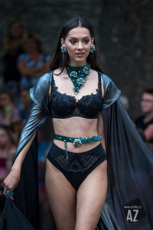 Křehká krása 2020