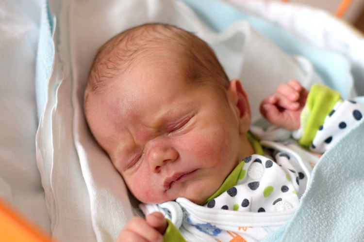 KOVAĹ KOČIŠ  Jan